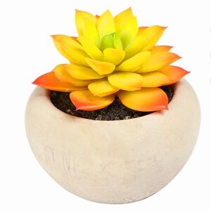 Mainstays Artificial Succulent